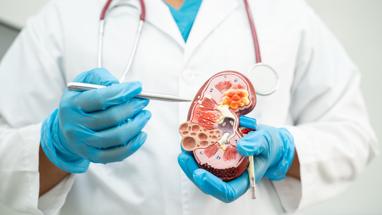 doença renal crônica